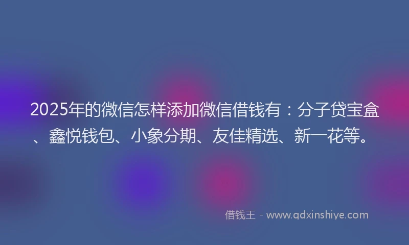 2025年的微信怎样添加微信借钱有：分子贷宝盒、鑫悦钱包、小象分期、友佳精选、新一花等。