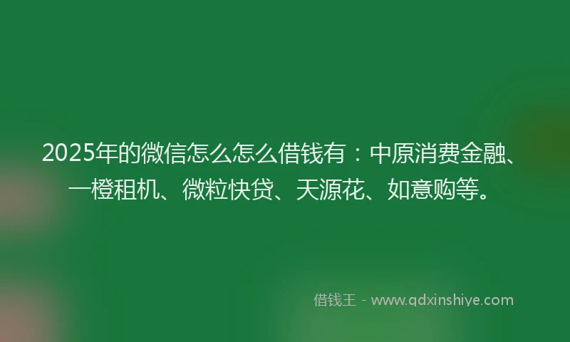 2025年的微信怎么怎么借钱有：中原消费金融、一橙租机、微粒快贷、天源花、如意购等。