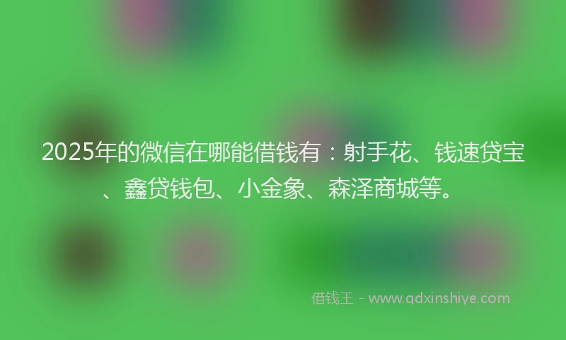 2025年的微信在哪能借钱有：射手花、钱速贷宝、鑫贷钱包、小金象、森泽商城等。