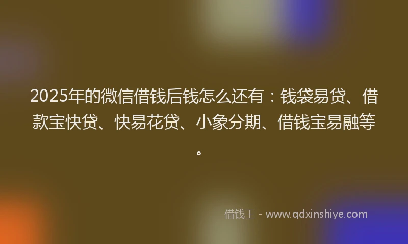 2025年的微信借钱后钱怎么还有：钱袋易贷、借款宝快贷、快易花贷、小象分期、借钱宝易融等。