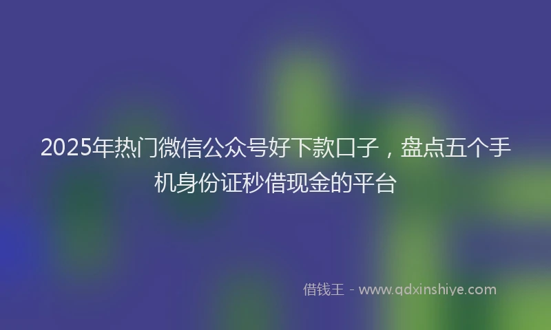 2025年热门微信公众号好下款口子，盘点五个手机身份证秒借现金的平台