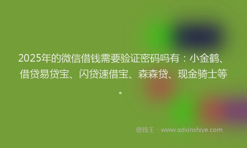 2025年的微信借钱需要验证密码吗有：小金鹤、借贷易贷宝、闪贷速借宝、森森贷、现金骑士等。