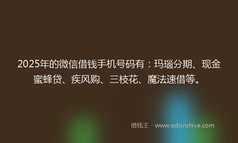 2025年的微信借钱手机号码有：玛瑙分期、现金蜜蜂贷、疾风购、三枝花、魔法速借等。