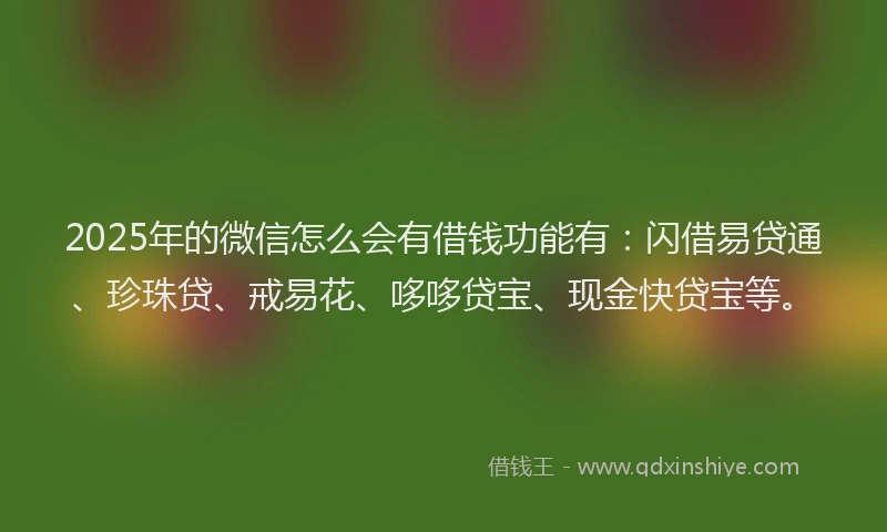 2025年的微信怎么会有借钱功能有：闪借易贷通、珍珠贷、戒易花、哆哆贷宝、现金快贷宝等。