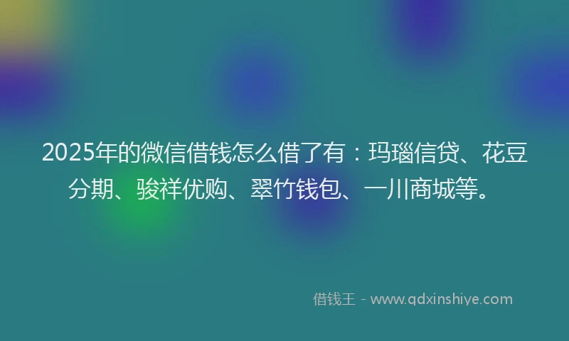 2025年的微信借钱怎么借了有：玛瑙信贷、花豆分期、骏祥优购、翠竹钱包、一川商城等。