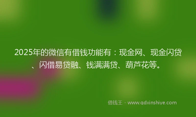 2025年的微信有借钱功能有：现金网、现金闪贷、闪借易贷融、钱满满贷、葫芦花等。