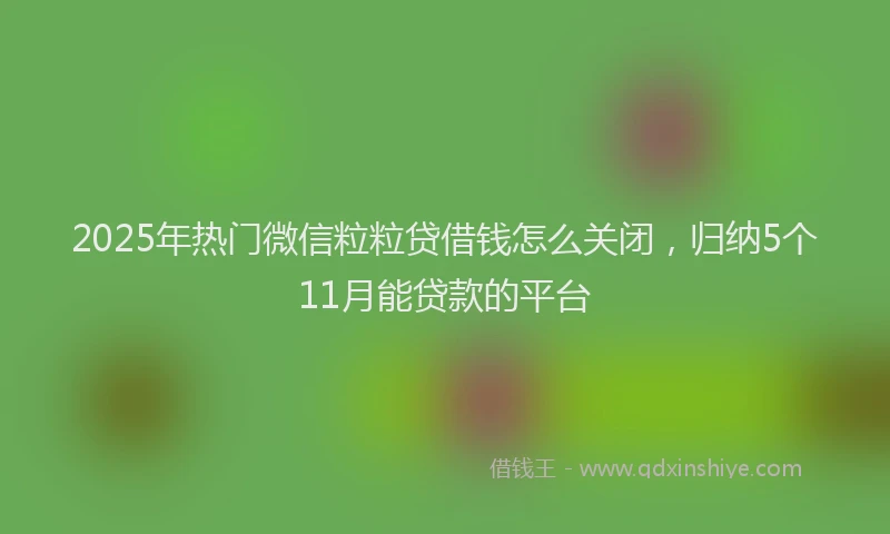 2025年热门微信粒粒贷借钱怎么关闭，归纳5个11月能贷款的平台