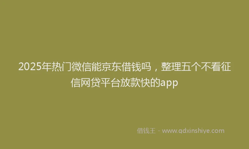 2025年热门微信能京东借钱吗，整理五个不看征信网贷平台放款快的app
