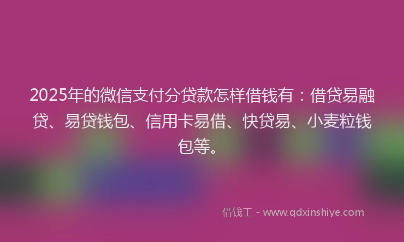 2025年的微信支付分贷款怎样借钱有：借贷易融贷、易贷钱包、信用卡易借、快贷易、小麦粒钱包等。