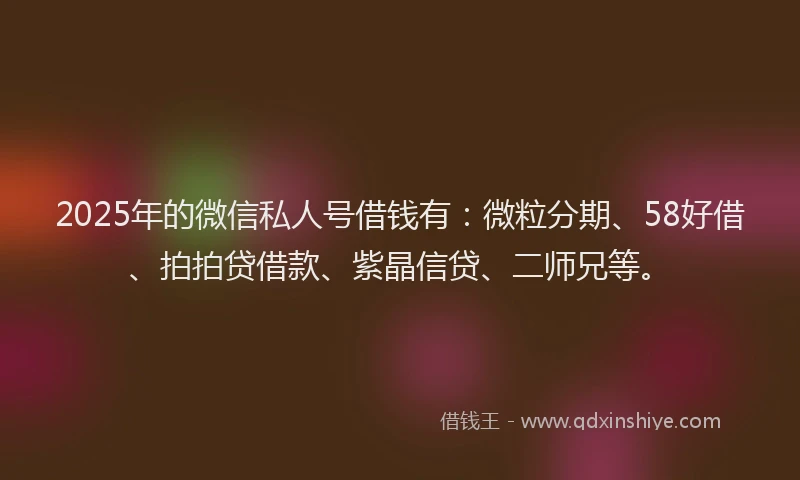 2025年的微信私人号借钱有：微粒分期、58好借、拍拍贷借款、紫晶信贷、二师兄等。