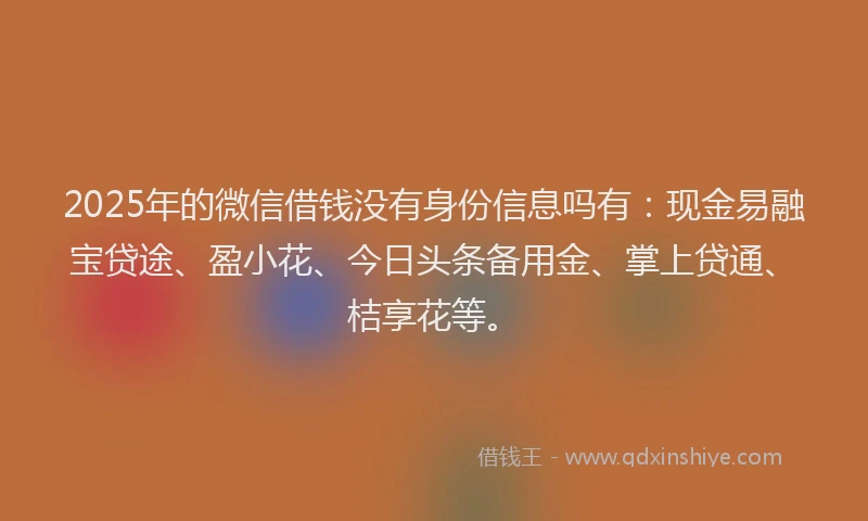 2025年的微信借钱没有身份信息吗有：现金易融宝贷途、盈小花、今日头条备用金、掌上贷通、桔享花等。