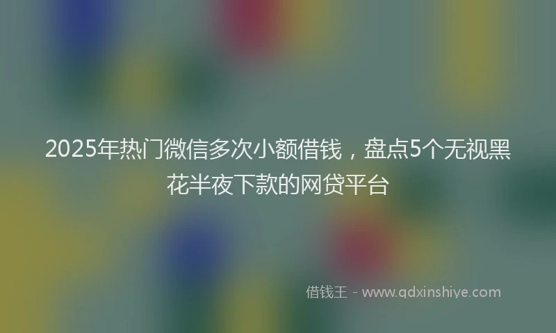 2025年热门微信多次小额借钱，盘点5个无视黑花半夜下款的网贷平台