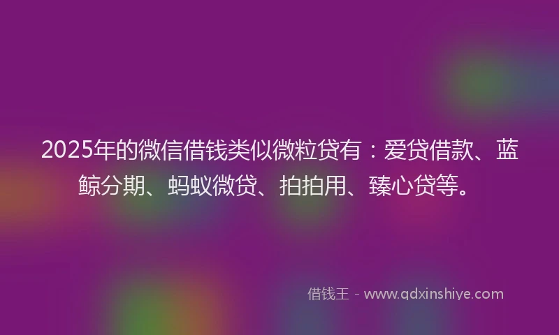 2025年的微信借钱类似微粒贷有：爱贷借款、蓝鲸分期、蚂蚁微贷、拍拍用、臻心贷等。
