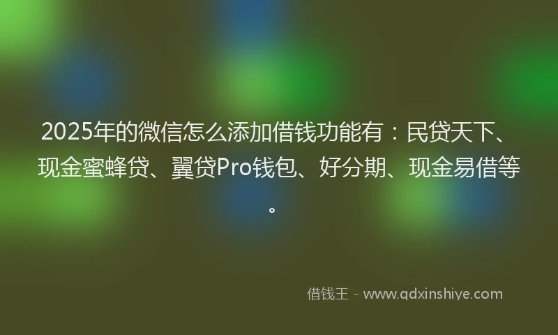 2025年的微信怎么添加借钱功能有：民贷天下、现金蜜蜂贷、翼贷Pro钱包、好分期、现金易借等。