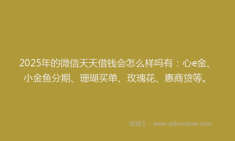 2025年的微信天天借钱会怎么样吗有：心e金、小金鱼分期、珊瑚买单、玫瑰花、惠商贷等。