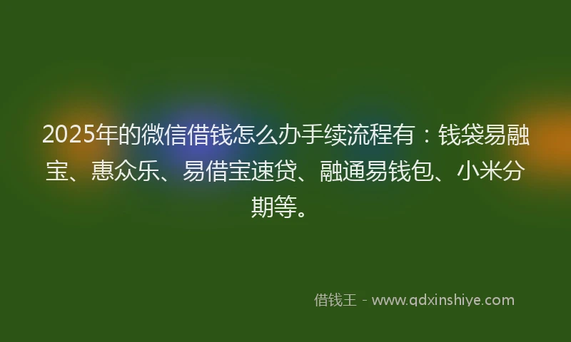 2025年的微信借钱怎么办手续流程有：钱袋易融宝、惠众乐、易借宝速贷、融通易钱包、小米分期等。