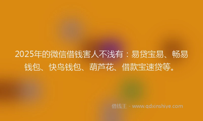 2025年的微信借钱害人不浅有：易贷宝易、畅易钱包、快鸟钱包、葫芦花、借款宝速贷等。