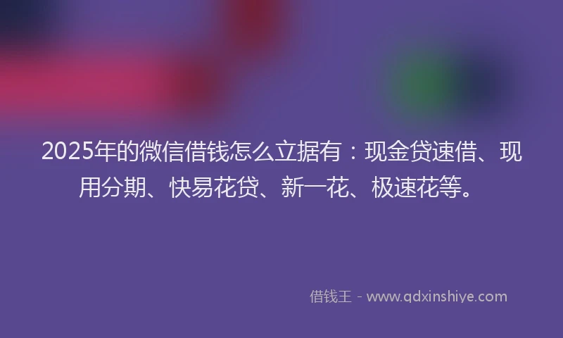 2025年的微信借钱怎么立据有：现金贷速借、现用分期、快易花贷、新一花、极速花等。