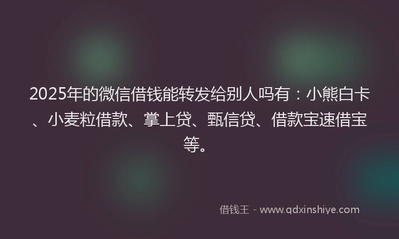2025年的微信借钱能转发给别人吗有：小熊白卡、小麦粒借款、掌上贷、甄信贷、借款宝速借宝等。