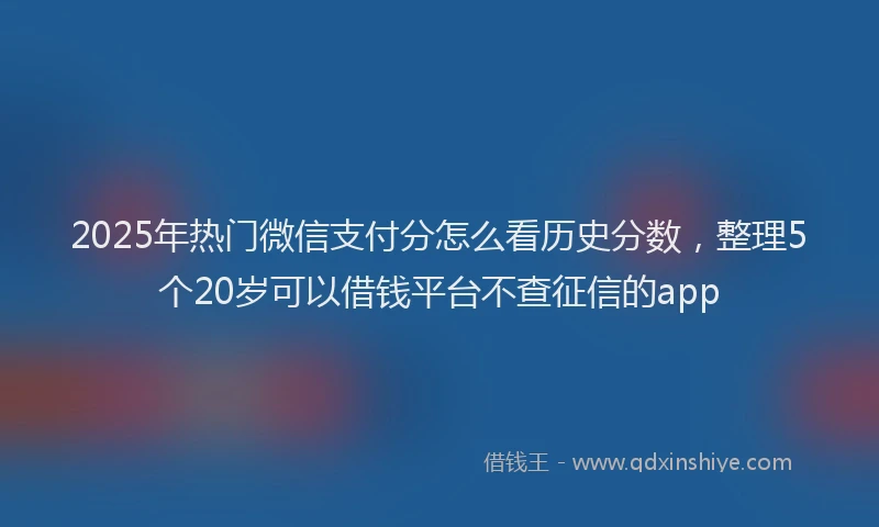 2025年热门微信支付分怎么看历史分数，整理5个20岁可以借钱平台不查征信的app