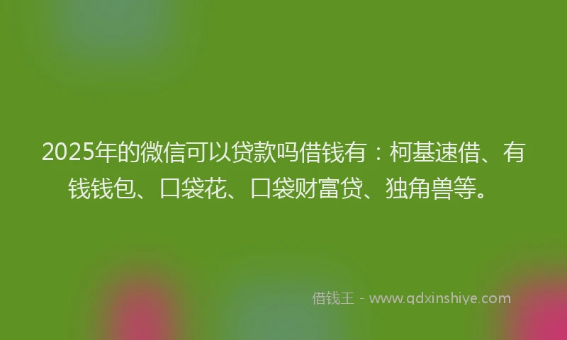 2025年的微信可以贷款吗借钱有：柯基速借、有钱钱包、口袋花、口袋财富贷、独角兽等。