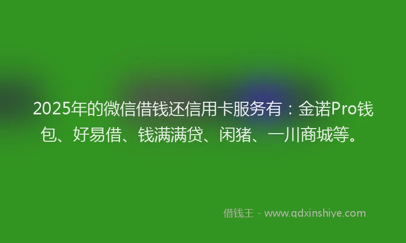 2025年的微信借钱还信用卡服务有：金诺Pro钱包、好易借、钱满满贷、闲猪、一川商城等。