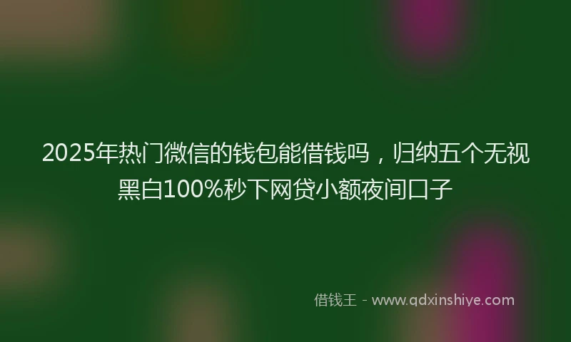 2025年热门微信的钱包能借钱吗，归纳五个无视黑白100%秒下网贷小额夜间口子