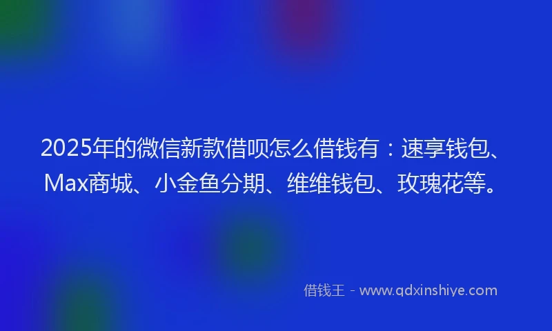 2025年的微信新款借呗怎么借钱有：速享钱包、Max商城、小金鱼分期、维维钱包、玫瑰花等。