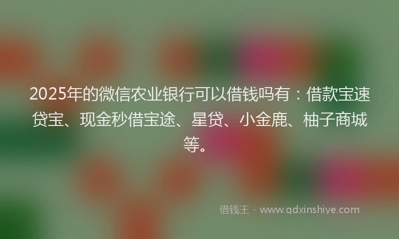 2025年的微信农业银行可以借钱吗有：借款宝速贷宝、现金秒借宝途、星贷、小金鹿、柚子商城等。