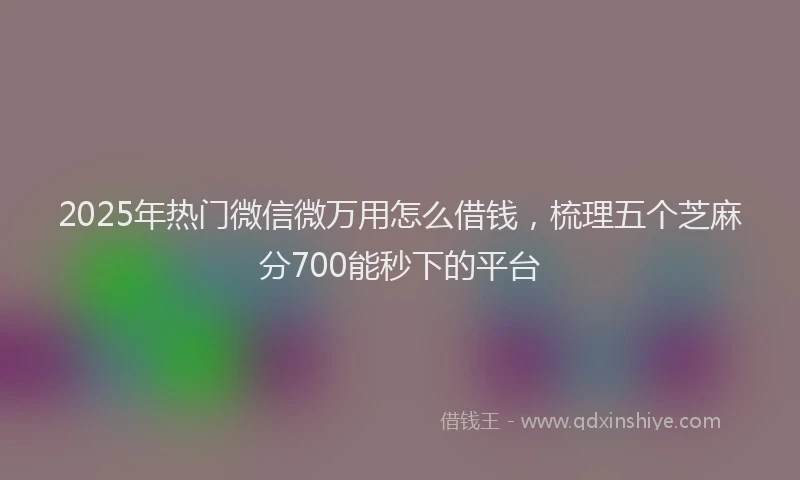 2025年热门微信微万用怎么借钱，梳理五个芝麻分700能秒下的平台