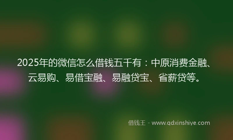 2025年的微信怎么借钱五千有：中原消费金融、云易购、易借宝融、易融贷宝、省薪贷等。
