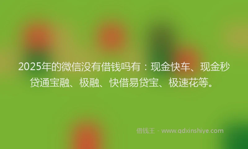 2025年的微信没有借钱吗有：现金快车、现金秒贷通宝融、极融、快借易贷宝、极速花等。