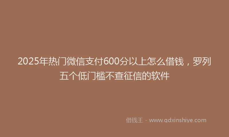 2025年热门微信支付600分以上怎么借钱，罗列五个低门槛不查征信的软件