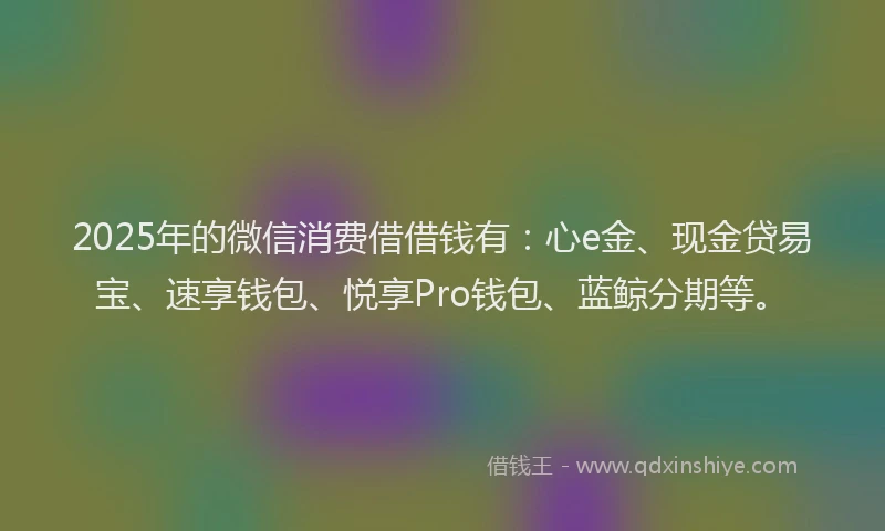 2025年的微信消费借借钱有：心e金、现金贷易宝、速享钱包、悦享Pro钱包、蓝鲸分期等。