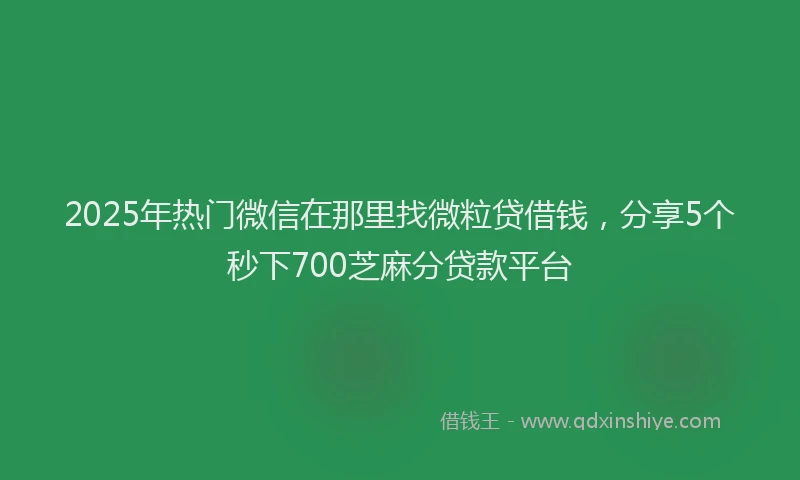 2025年热门微信在那里找微粒贷借钱，分享5个秒下700芝麻分贷款平台