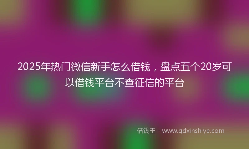 2025年热门微信新手怎么借钱，盘点五个20岁可以借钱平台不查征信的平台
