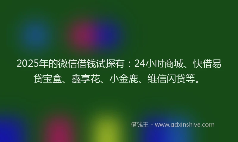 2025年的微信借钱试探有：24小时商城、快借易贷宝盒、鑫享花、小金鹿、维信闪贷等。