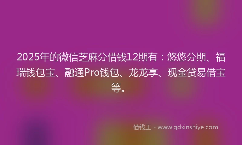 2025年的微信芝麻分借钱12期有：悠悠分期、福瑞钱包宝、融通Pro钱包、龙龙享、现金贷易借宝等。