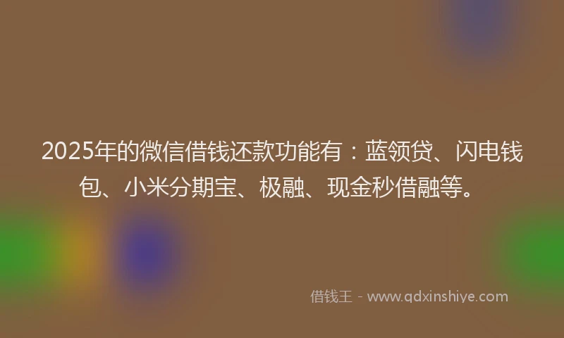 2025年的微信借钱还款功能有：蓝领贷、闪电钱包、小米分期宝、极融、现金秒借融等。