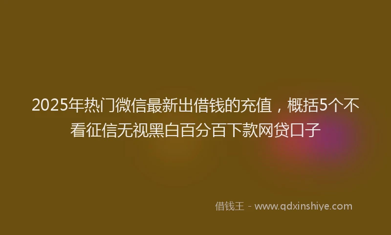 2025年热门微信最新出借钱的充值，概括5个不看征信无视黑白百分百下款网贷口子
