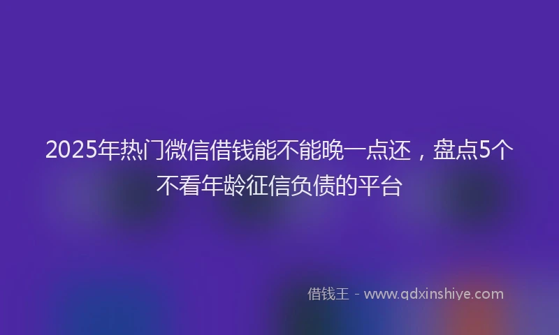 2025年热门微信借钱能不能晚一点还，盘点5个不看年龄征信负债的平台