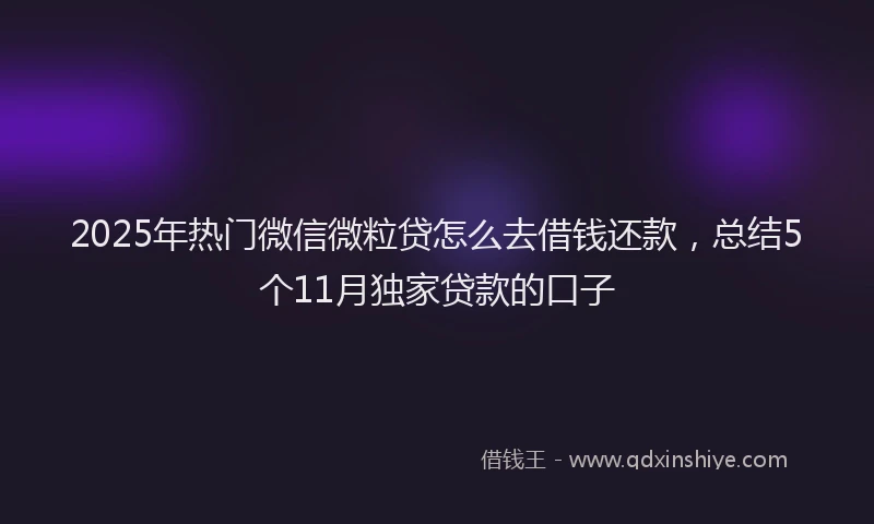 2025年热门微信微粒贷怎么去借钱还款，总结5个11月独家贷款的口子