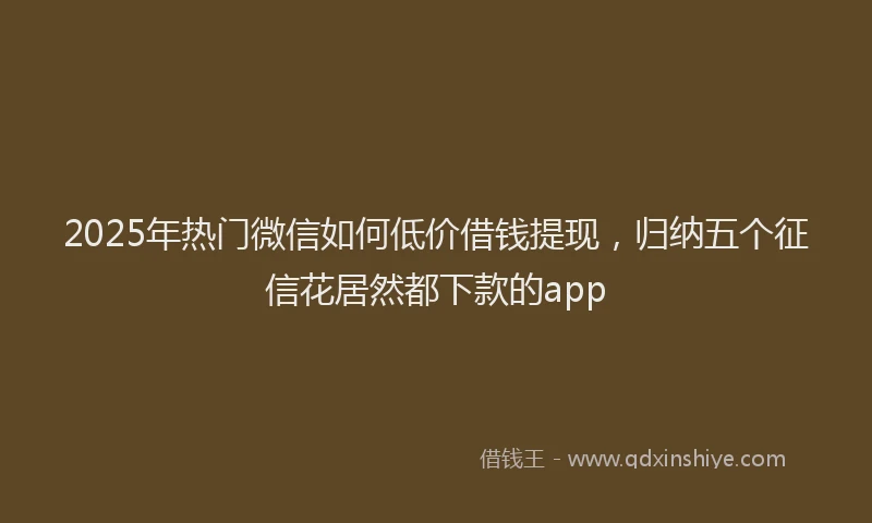 2025年热门微信如何低价借钱提现，归纳五个征信花居然都下款的app