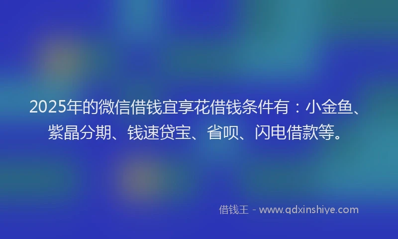 2025年的微信借钱宜享花借钱条件有：小金鱼、紫晶分期、钱速贷宝、省呗、闪电借款等。