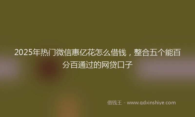 2025年热门微信惠亿花怎么借钱，整合五个能百分百通过的网贷口子
