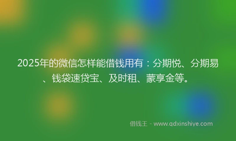 2025年的微信怎样能借钱用有：分期悦、分期易、钱袋速贷宝、及时租、蒙享金等。