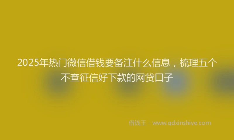 2025年热门微信借钱要备注什么信息，梳理五个不查征信好下款的网贷口子