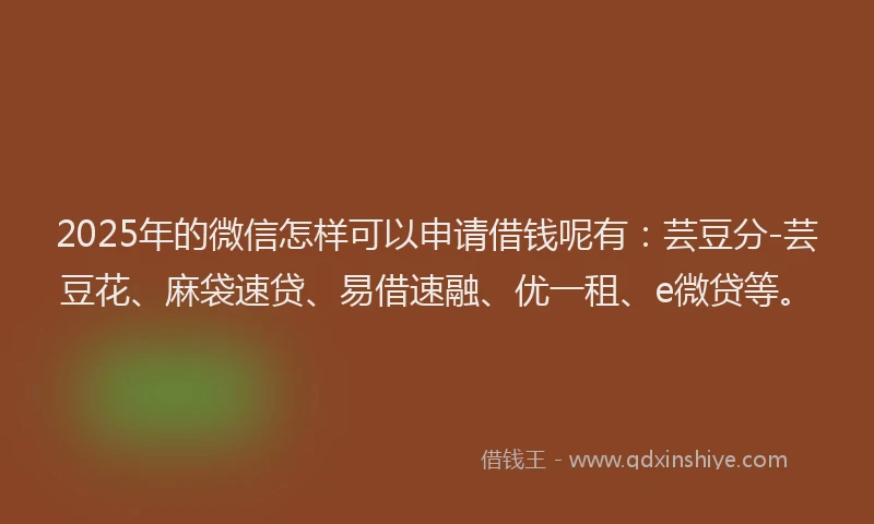 2025年的微信怎样可以申请借钱呢有：芸豆分-芸豆花、麻袋速贷、易借速融、优一租、e微贷等。