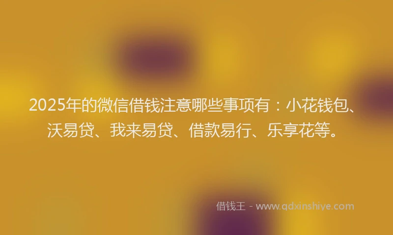 2025年的微信借钱注意哪些事项有：小花钱包、沃易贷、我来易贷、借款易行、乐享花等。
