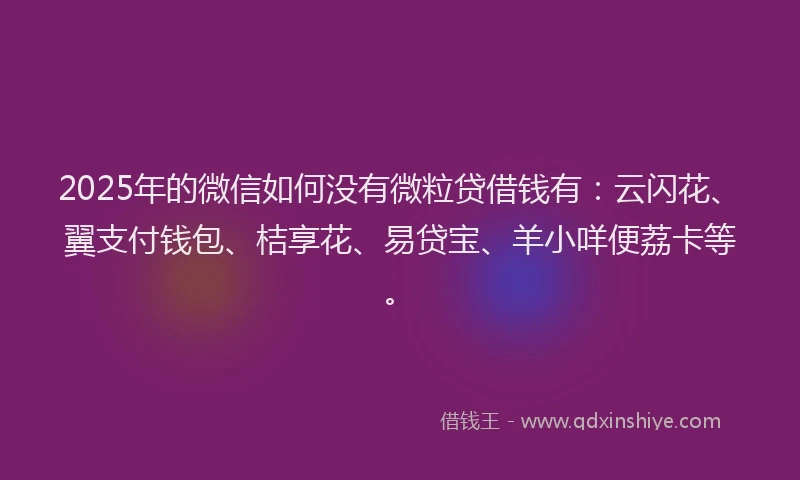 2025年的微信如何没有微粒贷借钱有：云闪花、翼支付钱包、桔享花、易贷宝、羊小咩便荔卡等。